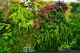 Notes From The Garden Vertical Gardens