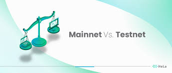 mainnet vs testnet a comprehensive