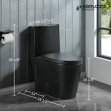 Abruzzo One Piece Toilet 1 1 Gpf 1 6 Gpf Dual Flush Elongated Toilet 1000 Gram Map Flushing Score Toilet In Matt Black