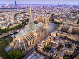 Biomimetic Roof For Notre Dame