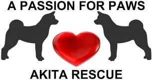 All dogs/pups will be spay/neutered, up to date on age appropriate shots, wormed. A Passion For Paws Rescue Inc Reviews And Ratings La Jolla Ca Donate Volunteer Review Greatnonprofits