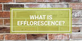 What Is Efflorescence How To Treat
