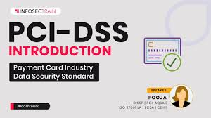 pci dss payment card industry