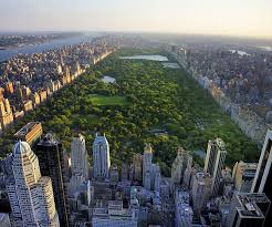 things to do near central park new