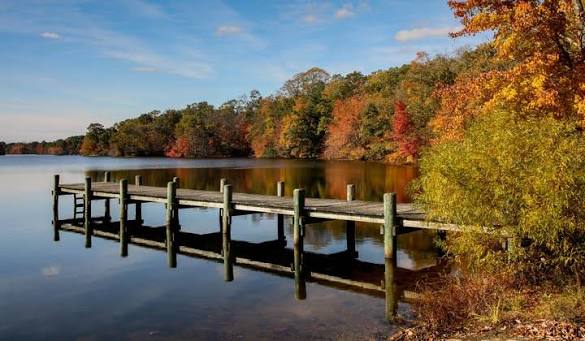 Ocean County Park