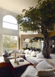 indoor trees ideas for your living room