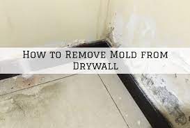 how to remove mold from drywall in