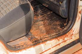ways to remove mud from your car s carpet