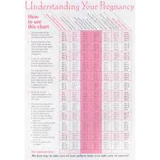 Timeline Of Pregnancy Tear Pad