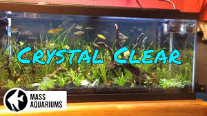 aquarium clean fish tank water