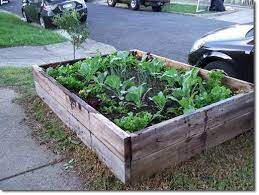 How To Build A Raised Garden Bed