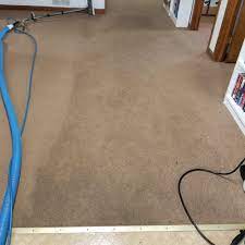 top 10 best area rug cleaners in wilkes