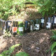 wine bottles into a border for your garden