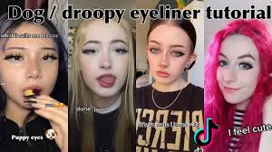 dog droopy eyeliner tutorial tiktok