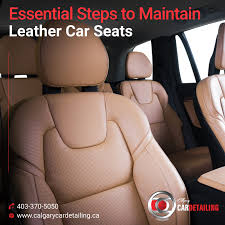 Maintain Leather Car Seats