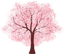 Cherry (genus prunus) is a tree on which cherry fruits grow. Cherry Blossom Wall Sticker Tenstickers