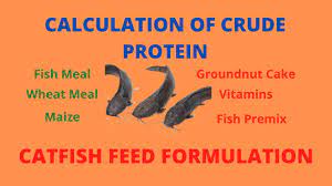 catfish feed formulation crude protein