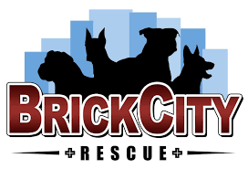 Check out 15 pet services near brick, nj. Dog Adoption Brick City Rescue