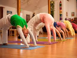 5 days vastu course yoga retreat in