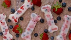 These homemade summer rolls (aka shrimp. 7 Easy Blueberry Dog Treats Recipes For Your Pup Ollie Blog