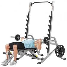 hoist fitness squat rack including