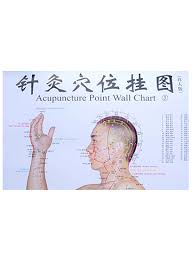Acupuncture Point Wall Chart Red Coral