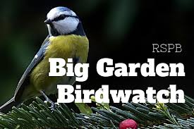 get set for the big garden birdwatch