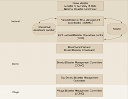 Organizational Structure Of Disaster Management Organization
