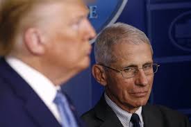 Anthony fauci, called for his firing following the emergence of emails showing how the national institute of allergy and infectious diseases chief handled the pandemic behind the scene — from admitting that the typical mask you buy at the drugstore is not really effective in keeping out virus to asking a colleague to please handle. Trump Vs Fauci President S Gut Sense Collides With Science