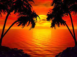 This picture shows the sun setting into an orange and yellow ocean, with the silhouette of the beach and palm trees. Pin On Sunsets And Beautiful Oceans