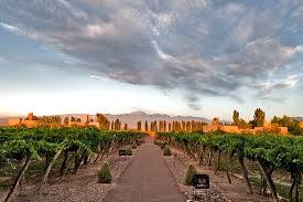 Información e inscripciones más noticias de turismo. Insider S Travel Guide To Mendoza Argentina S Wine Country