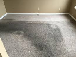 elite carpet tile cleaning