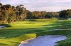 Palm Harbor Golf Club in Palm Coast, Florida, USA | GolfPass