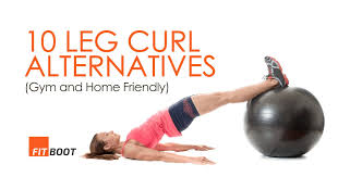 leg curl alternatives 10 gym and home