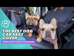 Okmee Luxury Dog Car Seat Cover