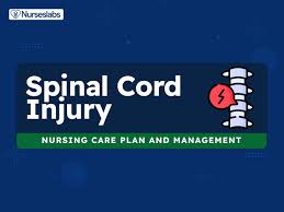 spinal cord injury nursing care plans