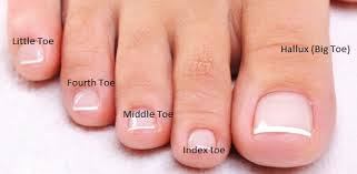 Image result for big, middle and little toes .