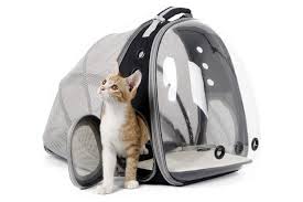 the 6 best backpack cat carriers of