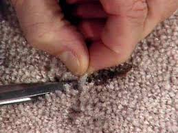 when carpet stain removers fail carpet