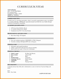 11 Cv Format Resume Theorynpractice