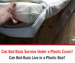 bed bugs survive under a plastic cover