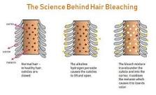can-you-use-coconut-oil-after-bleaching-hair