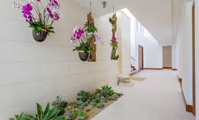 Style The House And Decorate With Orchids