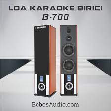 B-700) Loa karaoke đứng BIRICI B-700 – BobosAudio.com
