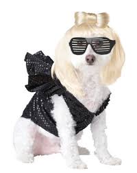Amazon Com Lady Dogga Pop Sensation Dog Costume Large
