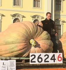 2016 World Record 2624 6 Pound Giant Pumpkin Pictures From