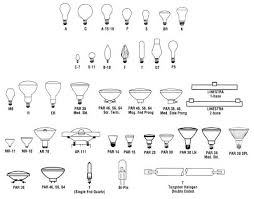Light Bulb Sizes And Shapes Screw And Plug Bases Dconnect