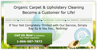 organic carpet upholstery cleaning