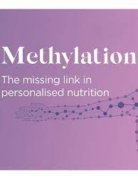methylation panel made famous by gary