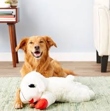 the 13 best toys for big dogs for all